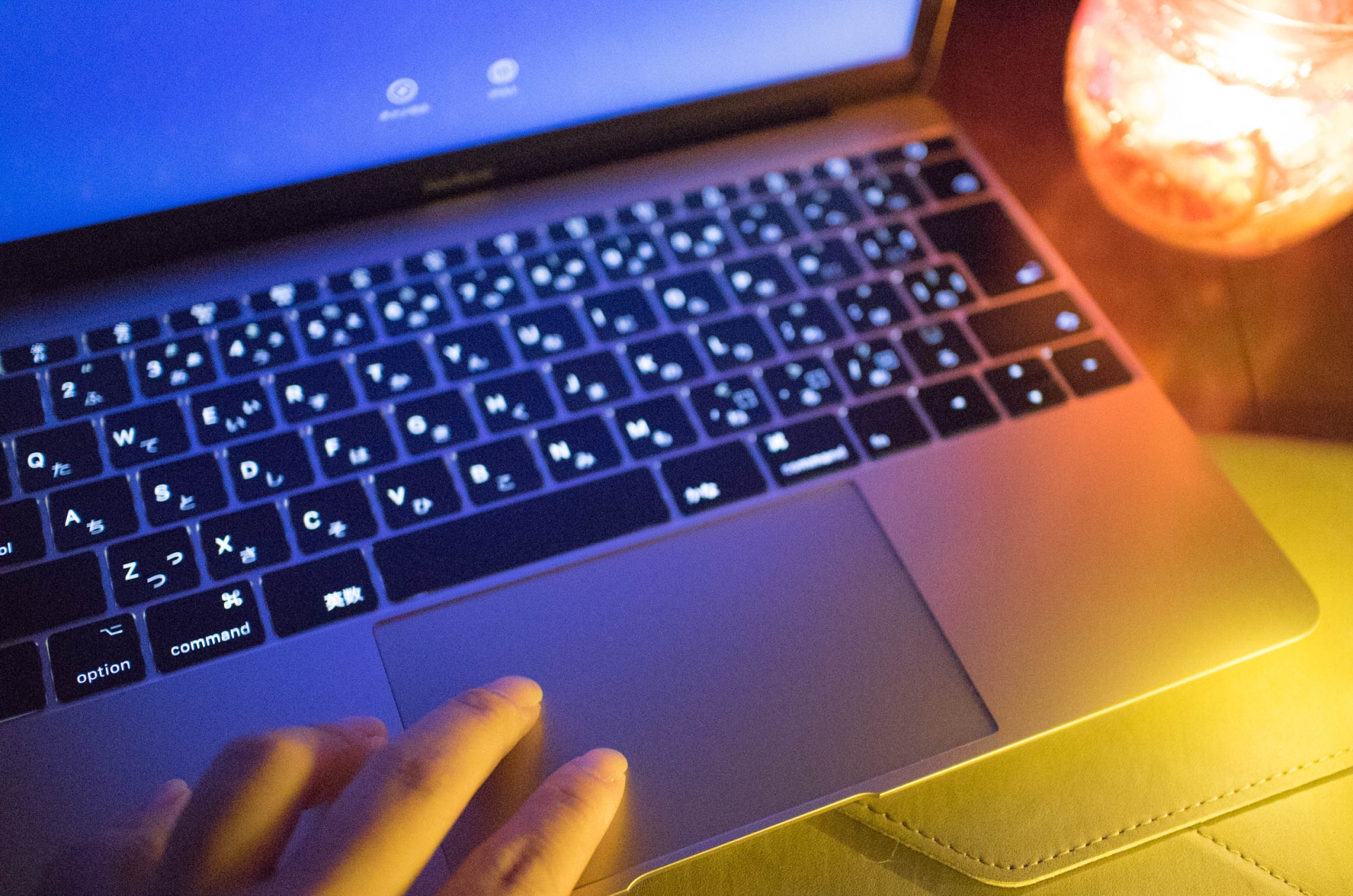 電子証明書の格納場所（保存場所）を確認する方法